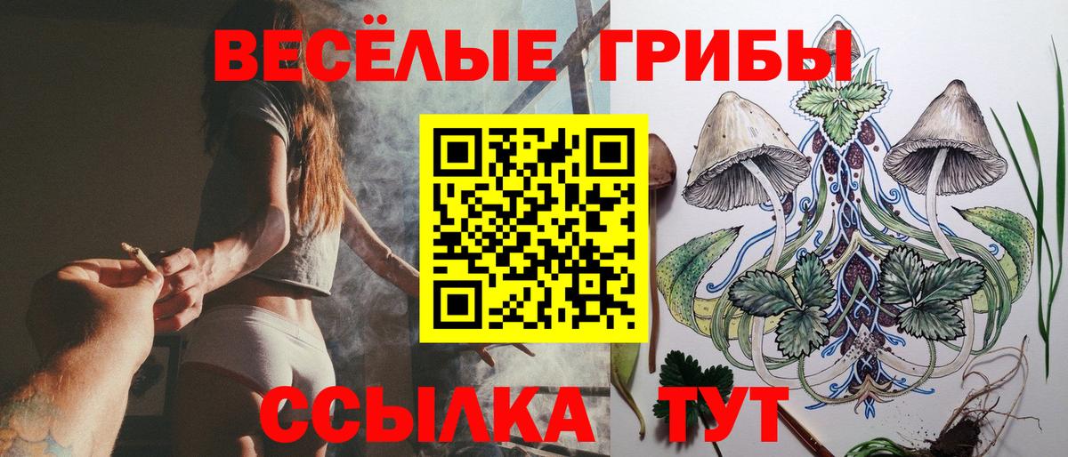 Галлюциногенные грибы прущие грибы Добрянка